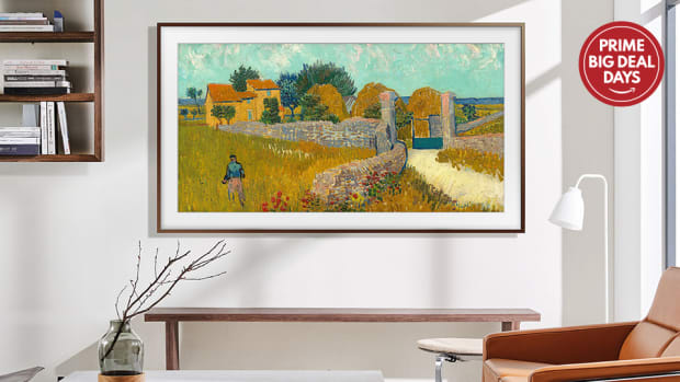 Yes, you can get a Samsung Frame TV and  bezel for under $900 this Amazon Prime Day